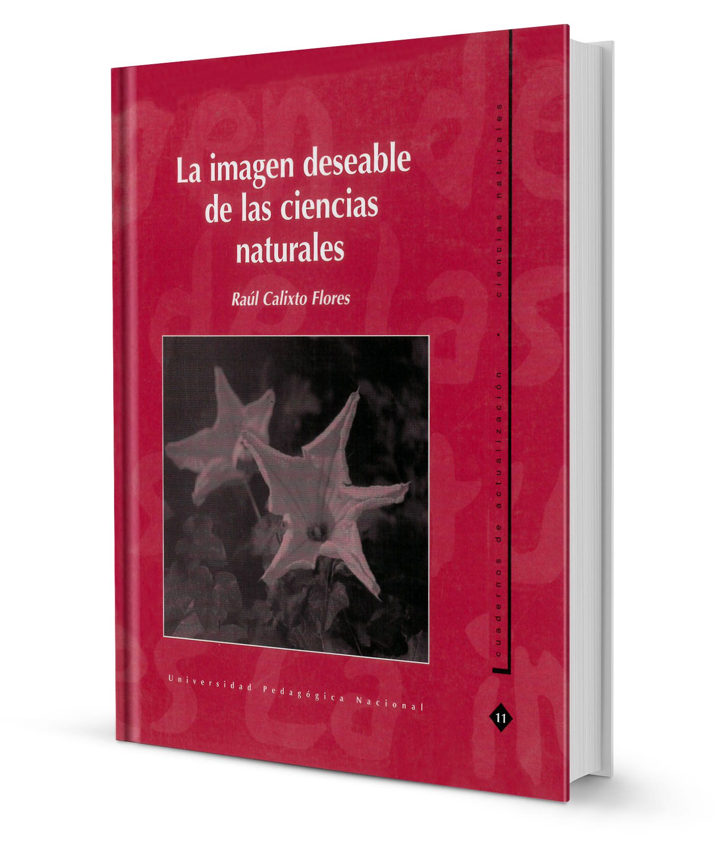 Imagen portada